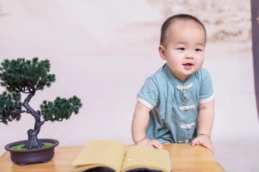 兴化可爱的企鹅宝宝